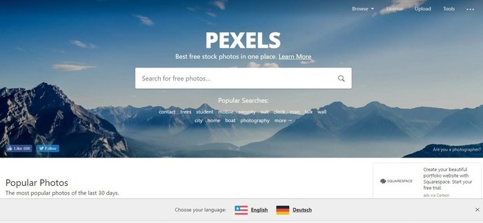 Pexels  Os 10 Melhores Bancos de Imagens Gratuitos Pexels