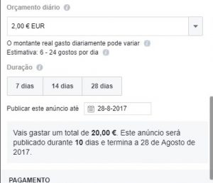 Como Divulgar uma Página no Facebook Etapa 3 300x258